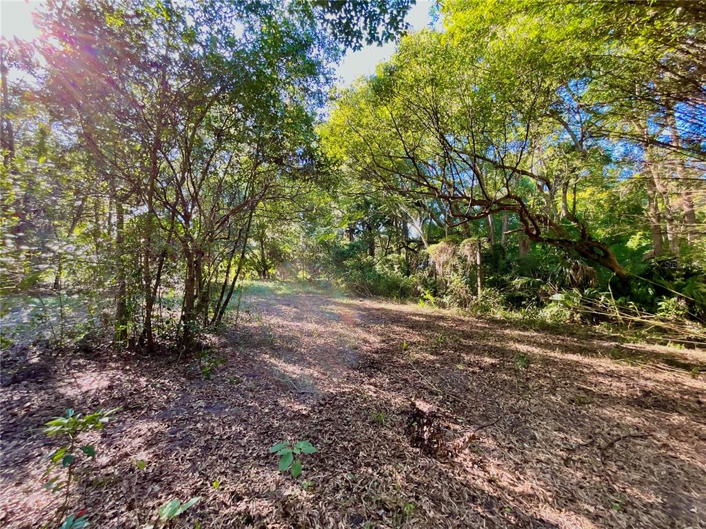 CLEARED AREA