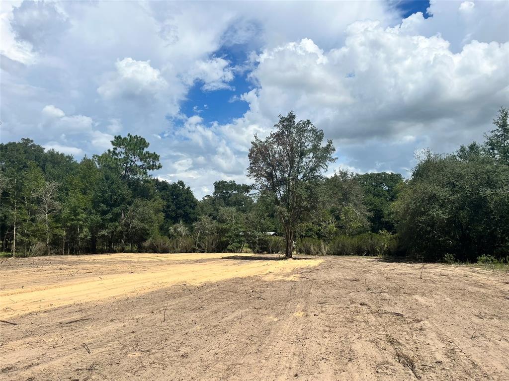 Property for sale at 7731 NE 97TH COURT, BRONSON, FL, 32621