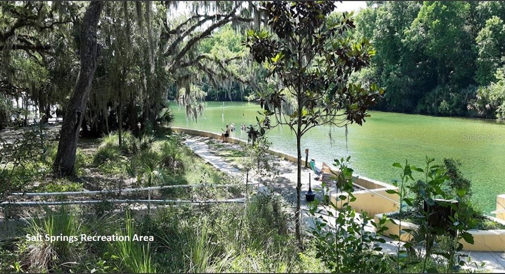 Property for sale at 208 GARRISON AVENUE, GEORGETOWN, FL, 32139