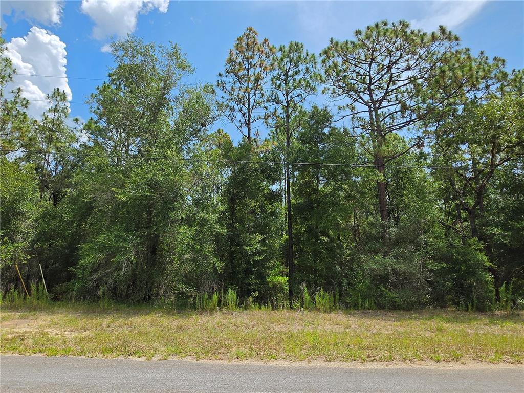 Property for sale at 8425 N FORESOME WAY, DUNNELLON, FL, 34434