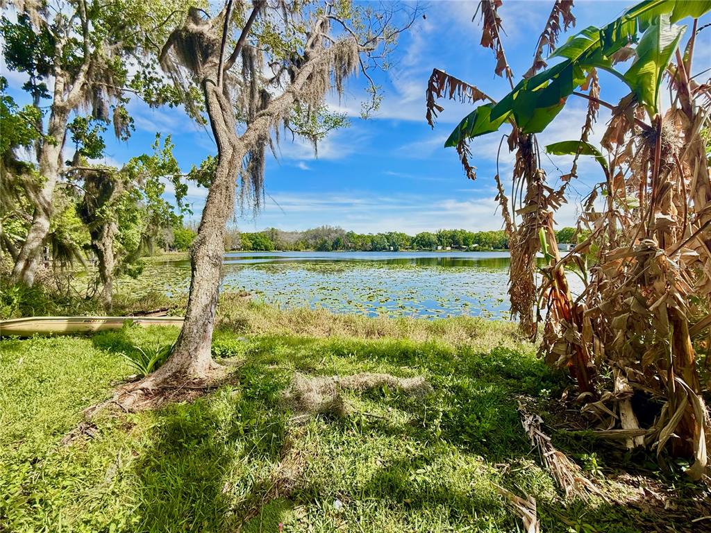 Property for sale at 14618 GENEVA DRIVE, ODESSA, FL, 33556