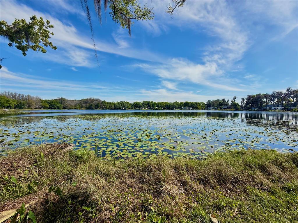 Property for sale at 14618 GENEVA DRIVE, ODESSA, FL, 33556