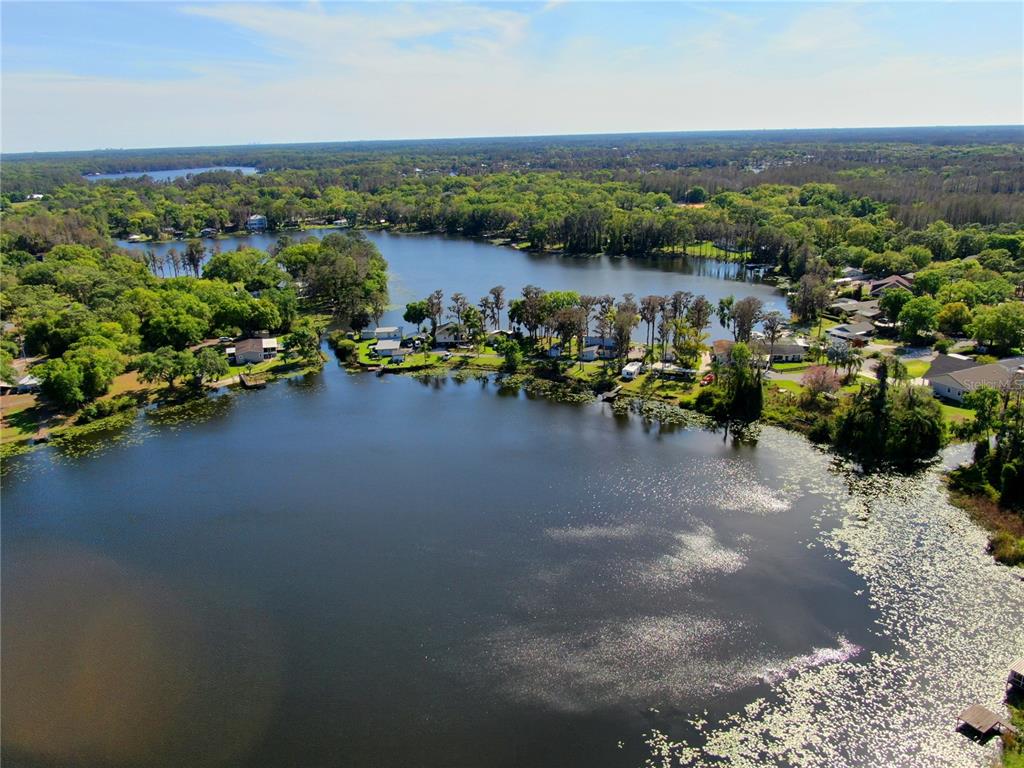 Property for sale at 14618 GENEVA DRIVE, ODESSA, FL, 33556