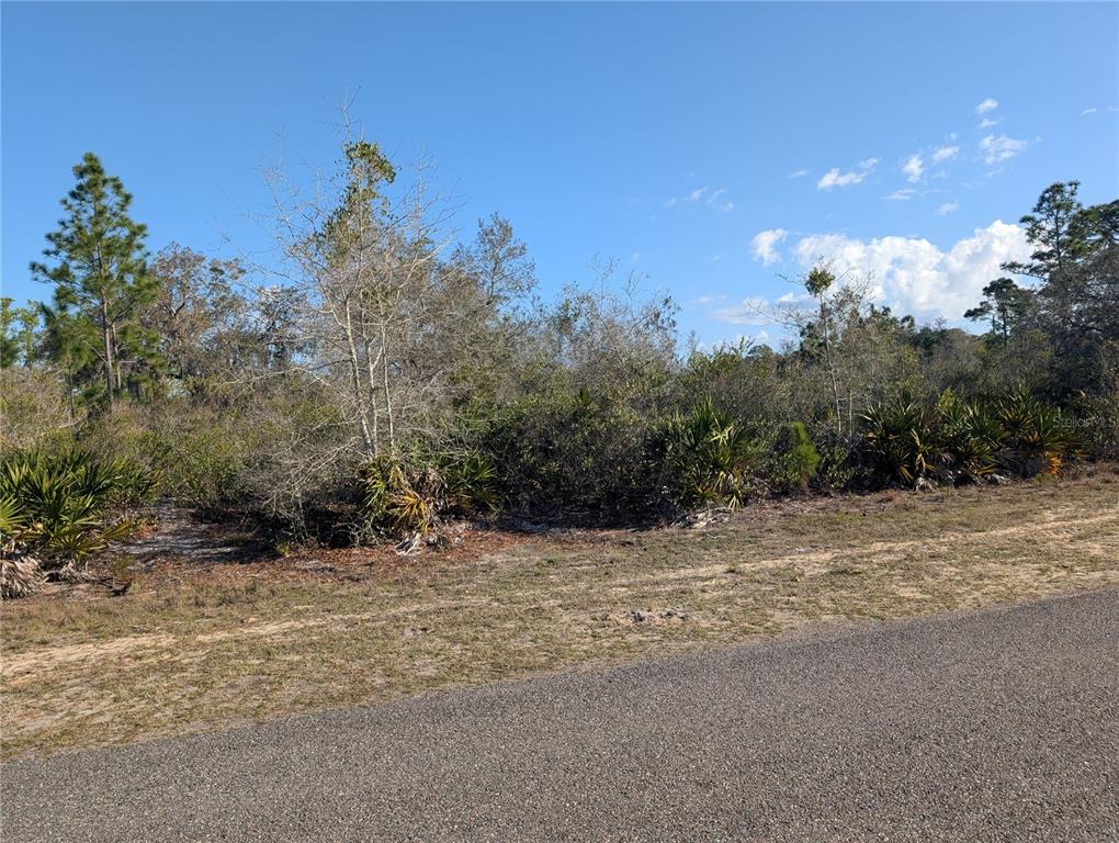 Property for sale at 207 VALENCIA DRIVE, INDIAN LAKE ESTATES, FL, 33855
