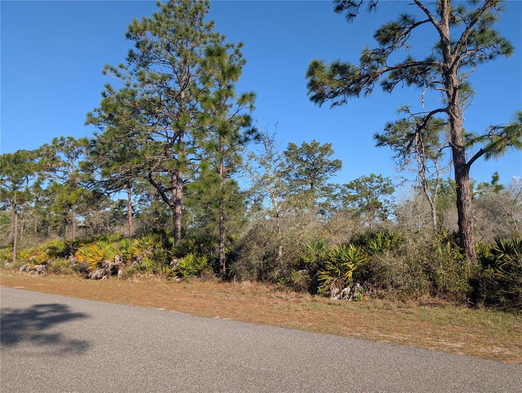 Property for sale at 207 VALENCIA DRIVE, INDIAN LAKE ESTATES, FL, 33855