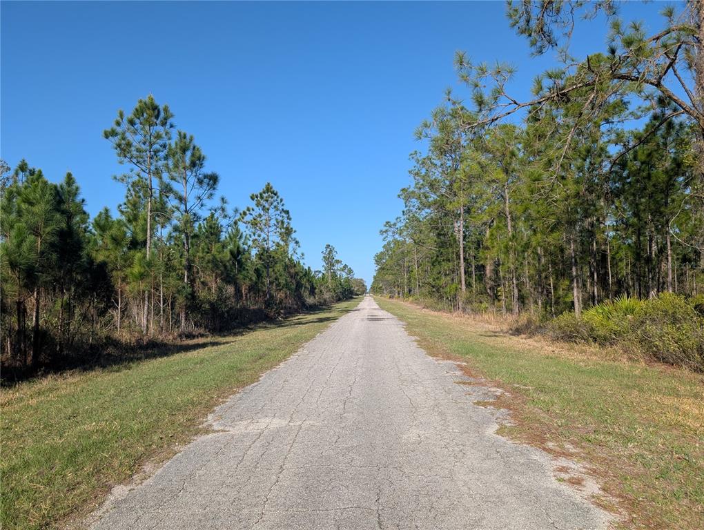 Property for sale at 207 VALENCIA DRIVE, INDIAN LAKE ESTATES, FL, 33855