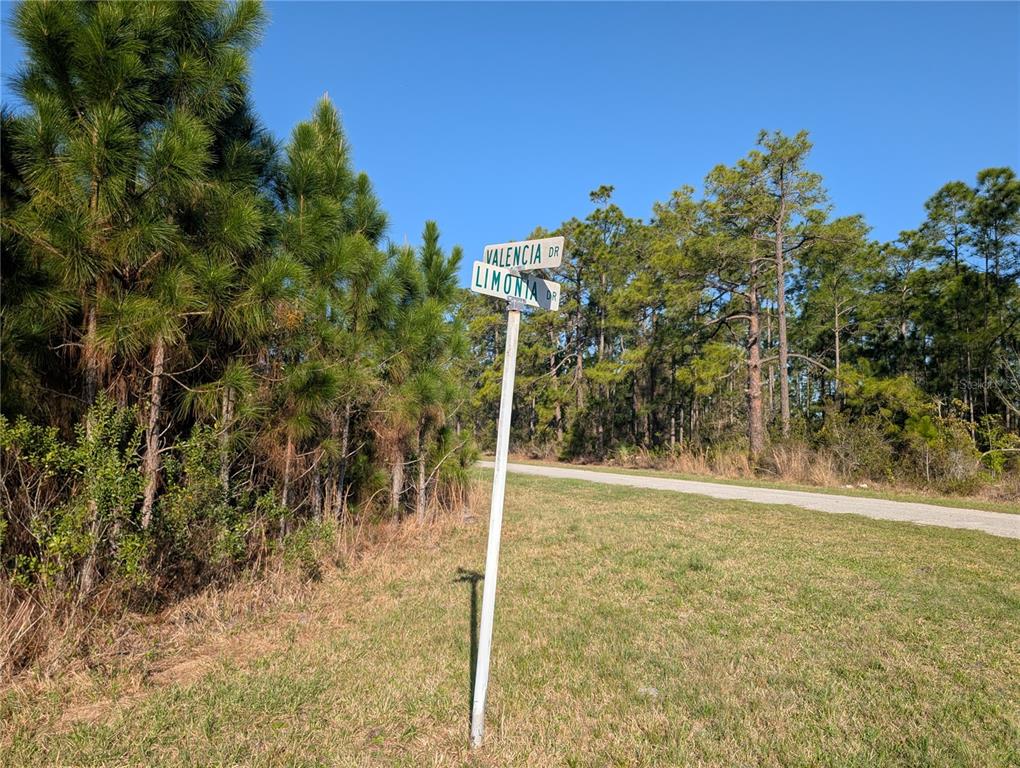 Property for sale at 207 VALENCIA DRIVE, INDIAN LAKE ESTATES, FL, 33855
