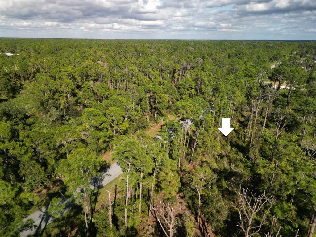 Overhead Aerial