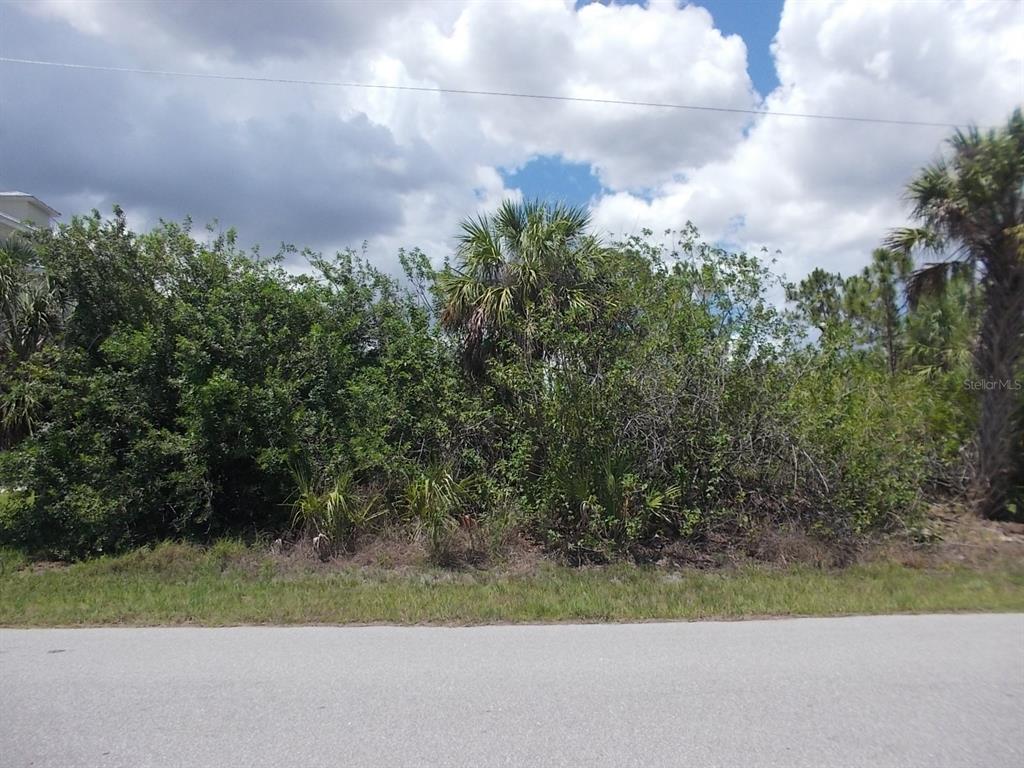 Looking at Lot from the street