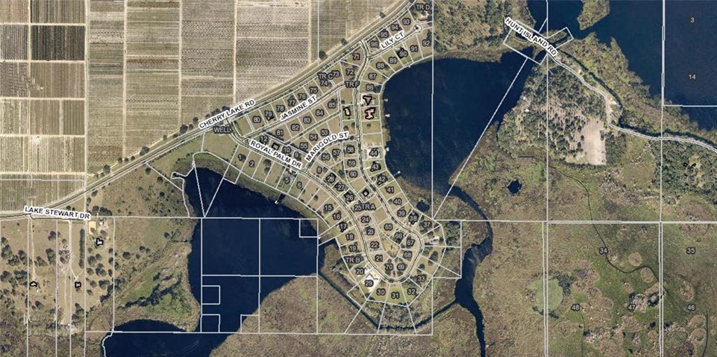 Property for sale at 17152 ROYAL PALM DRIVE, GROVELAND, FL, 34736