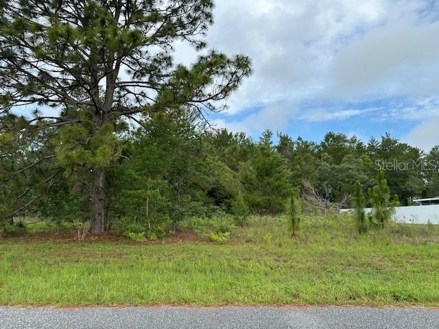 Property for sale at Lot 6 SW 48 COURT ROAD, OCALA, FL, 34473