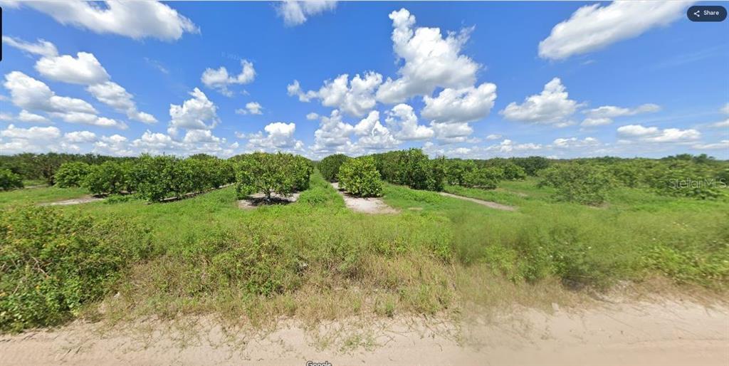Property for sale at HOLOPAW GROVES ROAD, ST CLOUD, FL, 34773