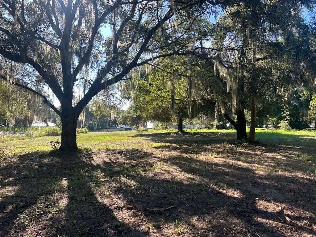 Property for sale at 15365 SE 140TH AVENUE ROAD, WEIRSDALE, FL, 32195