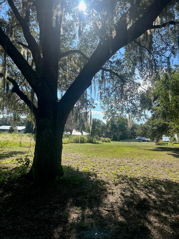 Property for sale at 15365 SE 140TH AVENUE ROAD, WEIRSDALE, FL, 32195