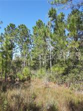 Property for sale at SALYERS ROAD, CLERMONT, FL, 34714