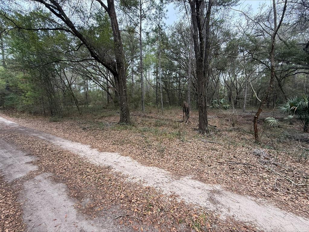 Property for sale at 00 SW 9TH PLACE, OCALA, FL, 34481