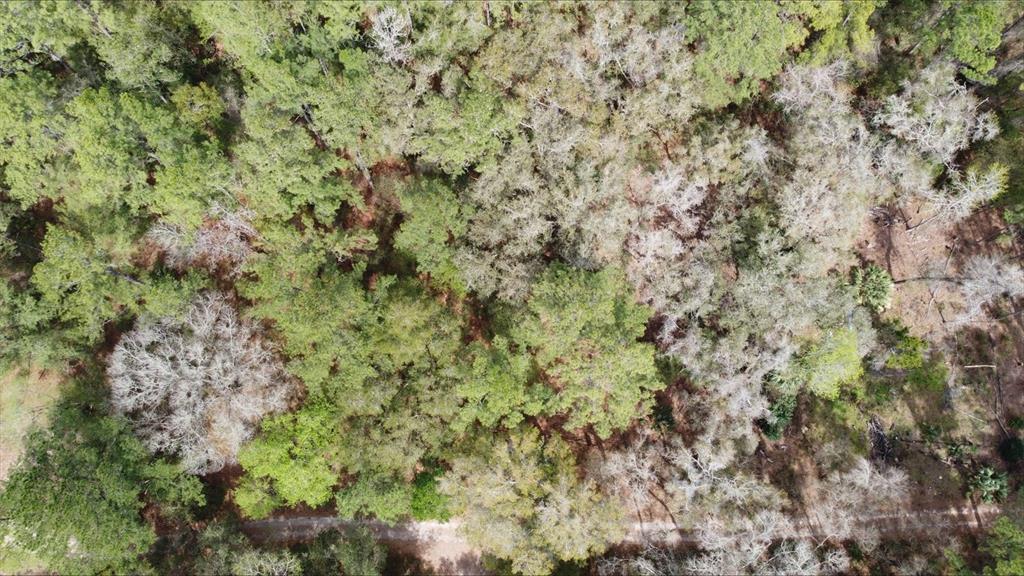 Property for sale at 00 SW 9TH PLACE, OCALA, FL, 34481