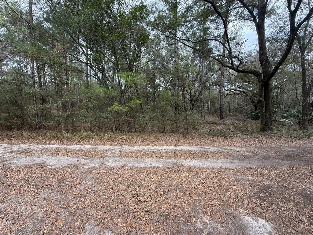 Property for sale at 00 SW 9TH PLACE, OCALA, FL, 34481