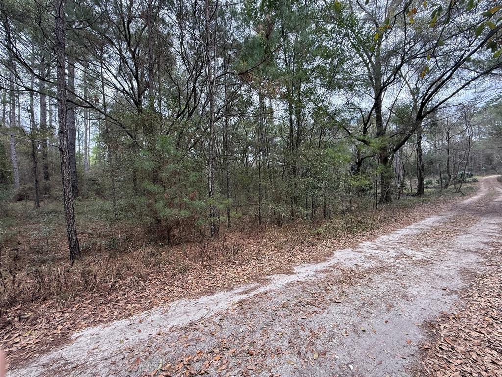 Property for sale at 00 SW 9TH PLACE, OCALA, FL, 34481