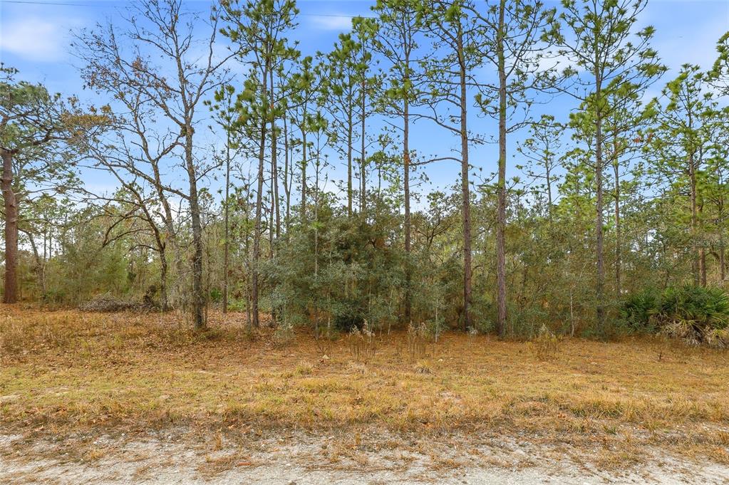 Property for sale at CAYMAN ROAD, WEEKI WACHEE, FL, 34614