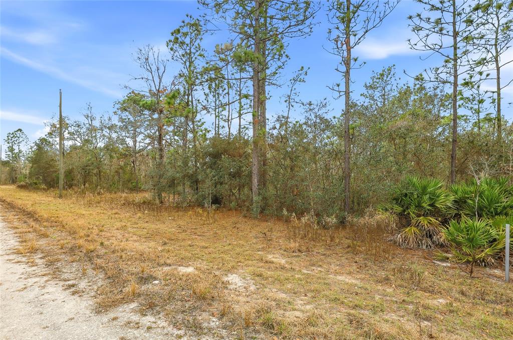 Property for sale at CAYMAN ROAD, WEEKI WACHEE, FL, 34614