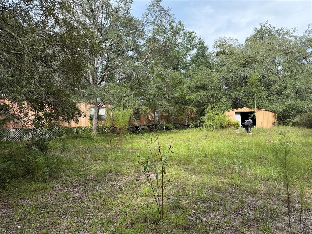 Property for sale at 11590 NE 88TH LANE, BRONSON, FL, 32621