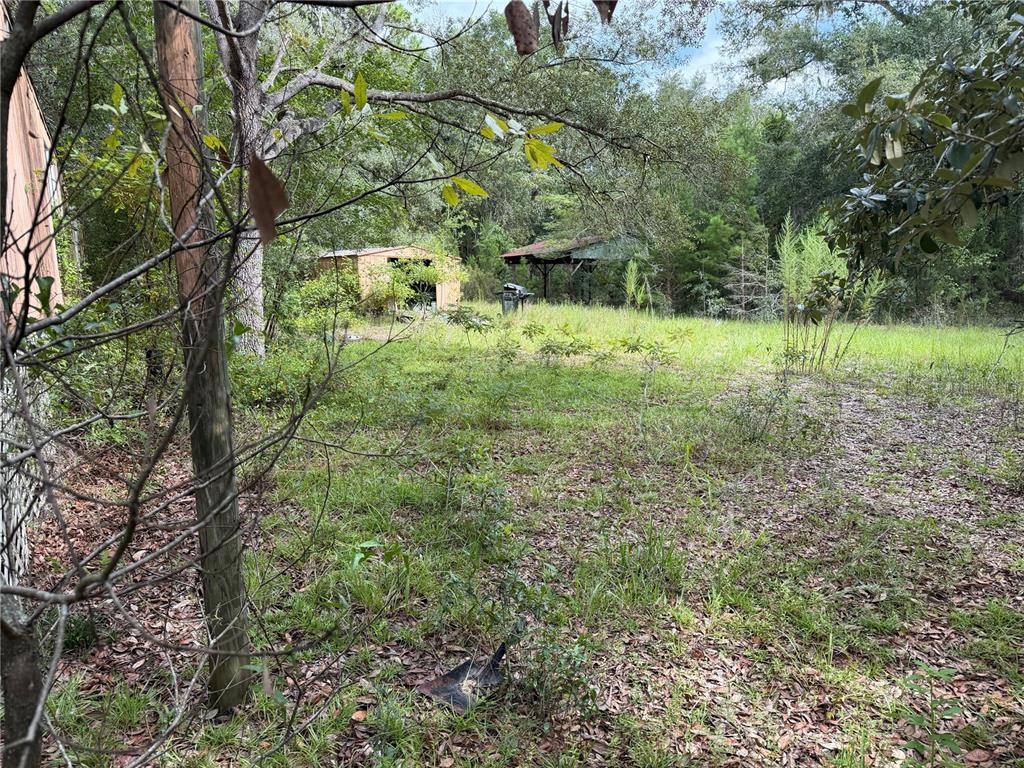 Property for sale at 11590 NE 88TH LANE, BRONSON, FL, 32621