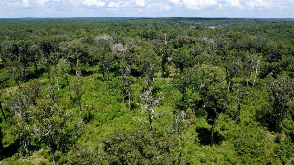 Property for sale at US HWY 27, OCALA, FL, 34482