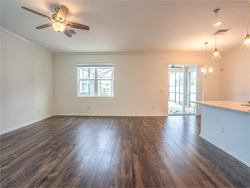 Living-Family Room