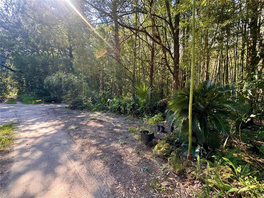 Property for sale at 17970 SW 111TH STREET, BROOKER, FL, 32622