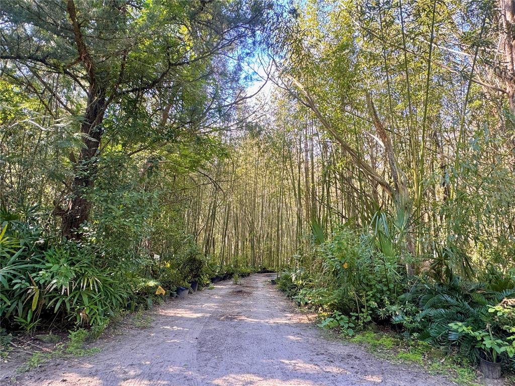 Property for sale at 17970 SW 111TH STREET, BROOKER, FL, 32622