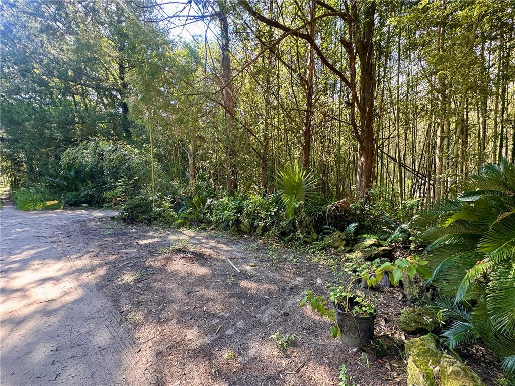 Property for sale at 17970 SW 111TH STREET, BROOKER, FL, 32622