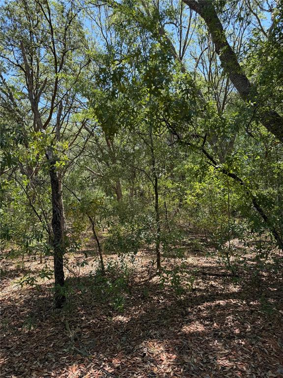 Property for sale at TBD NE 107TH COURT, BRONSON, FL, 32621