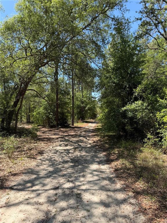 Property for sale at TBD NE 107TH COURT, BRONSON, FL, 32621