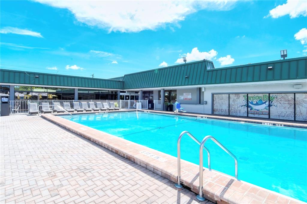 Large lap pool