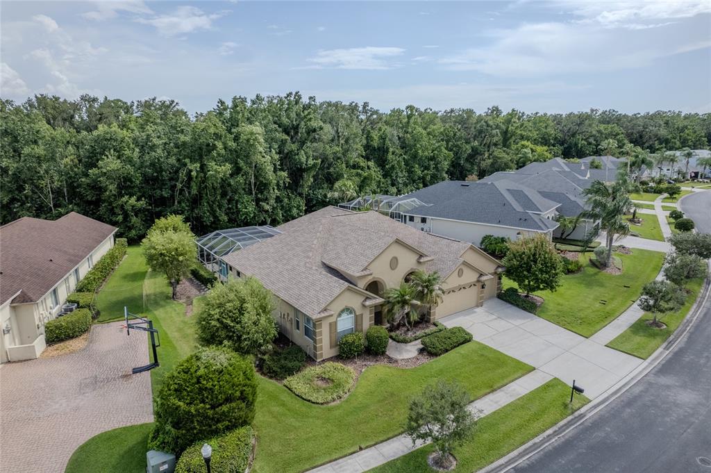 Property for sale at 26920 WINGED ELM DRIVE, WESLEY CHAPEL, FL, 33544