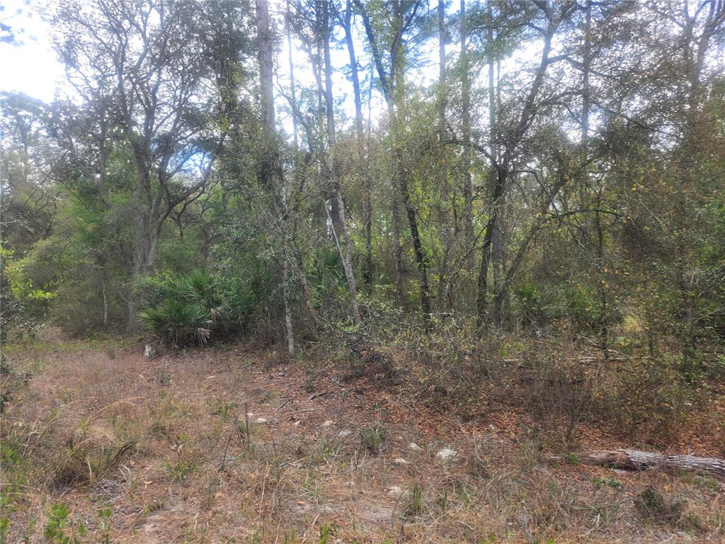 Property for sale at 7446 SW 151ST PLACE, DUNNELLON, FL, 34432
