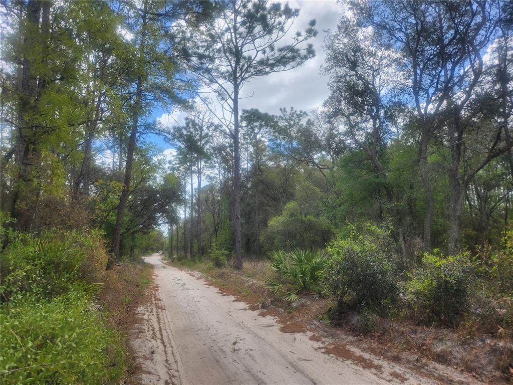 Property for sale at 7446 SW 151ST PLACE, DUNNELLON, FL, 34432