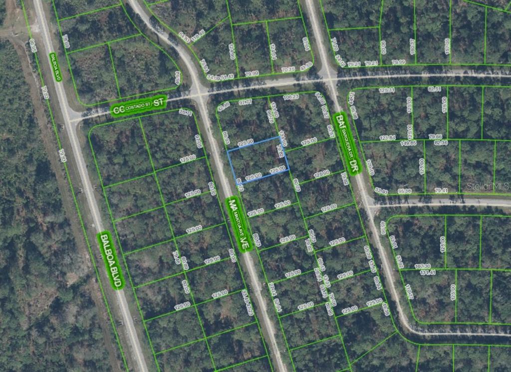 Property for sale at 8950 MANTUA DRIVE, SEBRING, FL, 33872