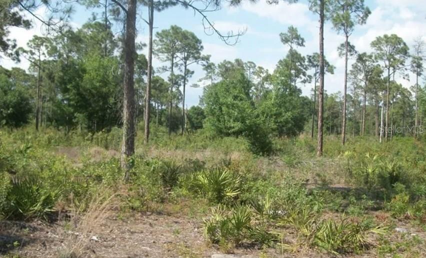 Property for sale at 1055 UNION AVENUE, CLEWISTON, FL, 33440