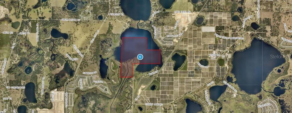Property for sale at SR-19, GROVELAND, FL, 34736