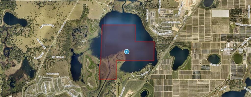 Property for sale at SR-19, GROVELAND, FL, 34736