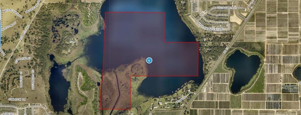 Property for sale at SR-19, GROVELAND, FL, 34736
