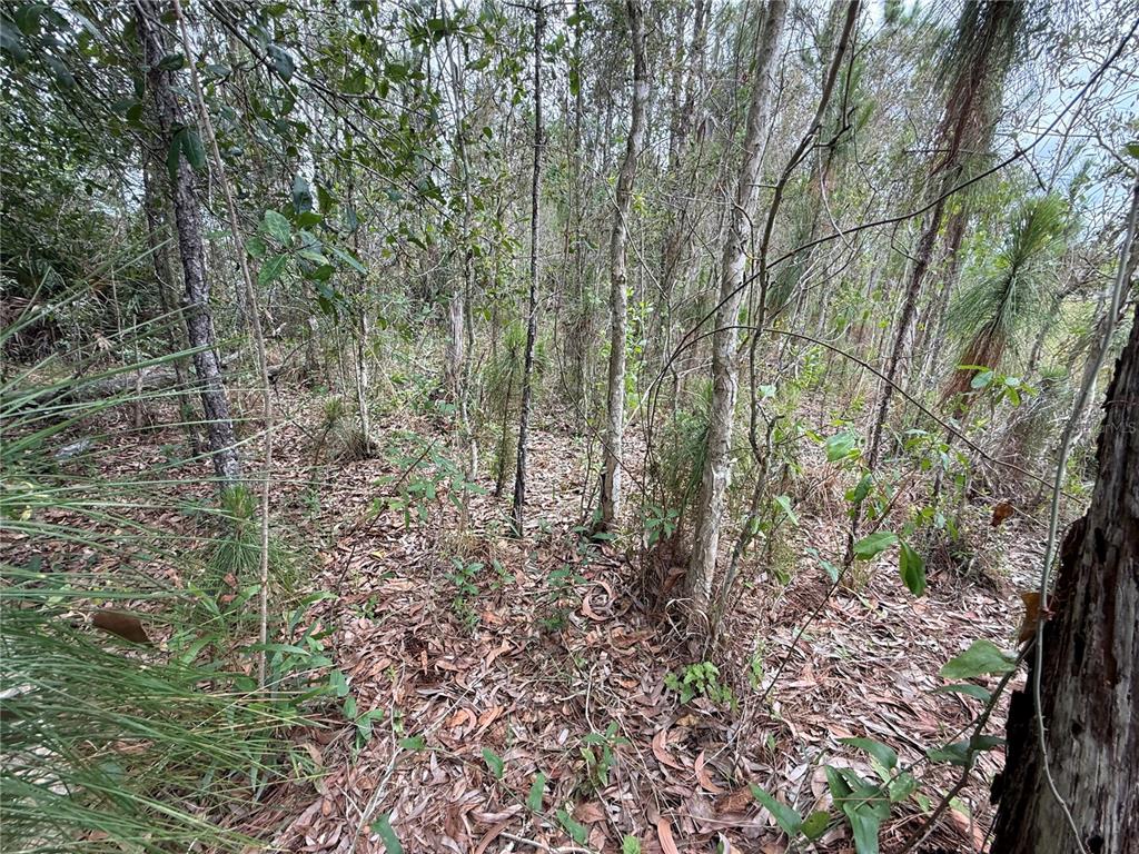 Property for sale at 1009 JACKSON AVENUE, LEHIGH ACRES, FL, 33972