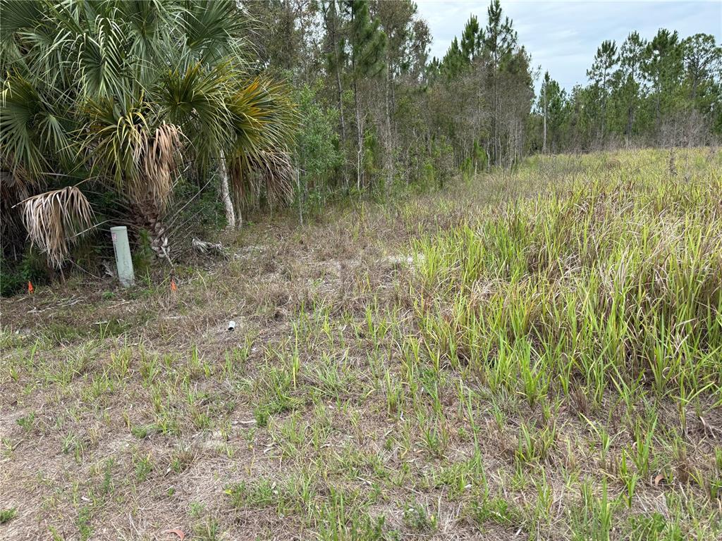 Property for sale at 1009 JACKSON AVENUE, LEHIGH ACRES, FL, 33972