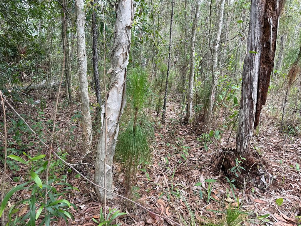Property for sale at 1009 JACKSON AVENUE, LEHIGH ACRES, FL, 33972
