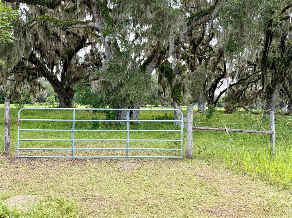 Property for sale at E C-478, WEBSTER, FL, 33597