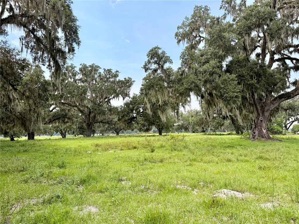 Property for sale at E C-478, WEBSTER, FL, 33597