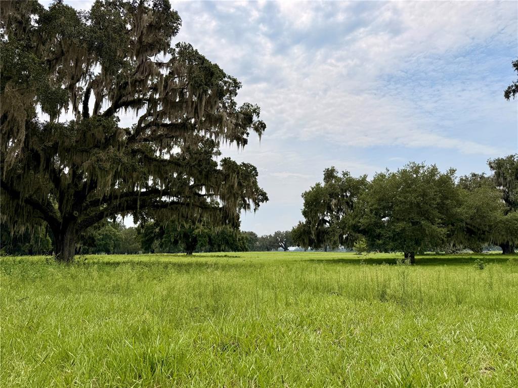 Property for sale at E C-478, WEBSTER, FL, 33597