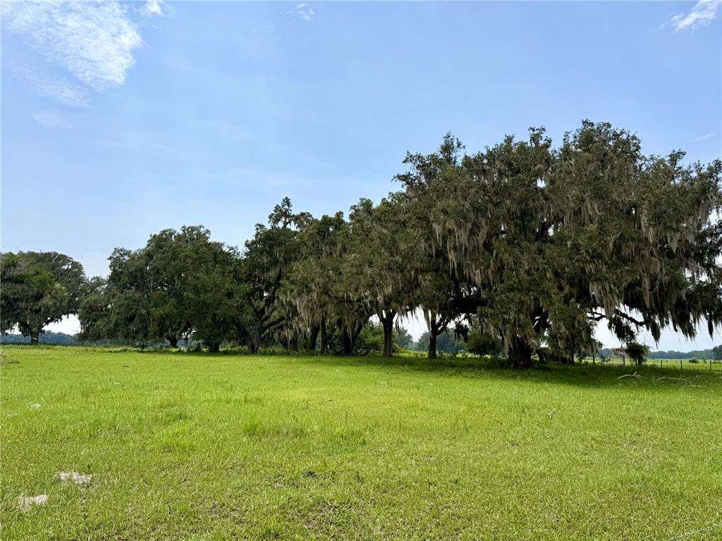 Property for sale at E C-478, WEBSTER, FL, 33597
